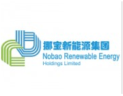 挪宝新能源集团有限公司